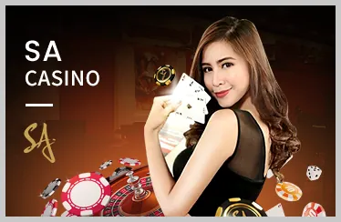 Hướng dẫn cho người mới bắt đầu